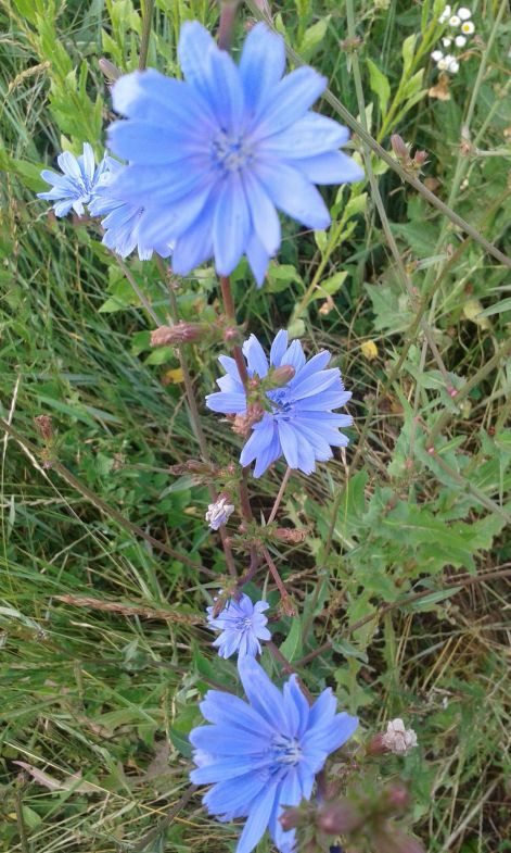 20150702_090436.jpg