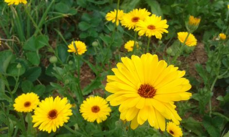 20160703_133829.jpg