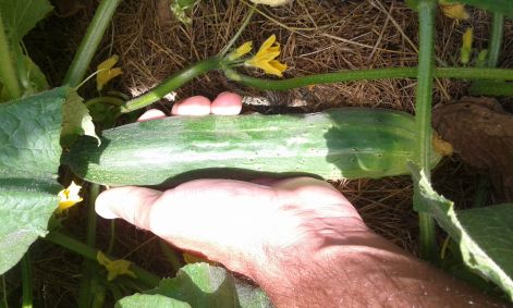 20160706_105543.jpg