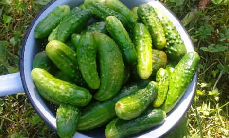 20160829_112037.jpg