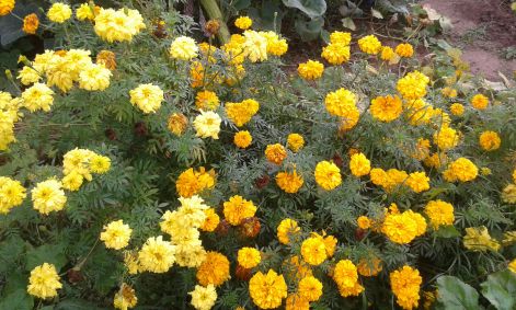 20160905_161558.jpg