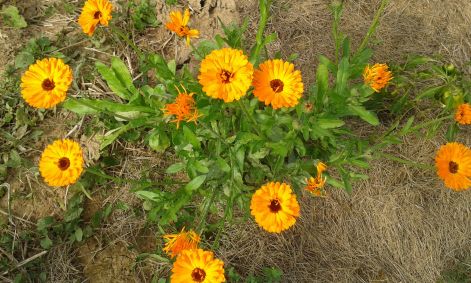 20161001_142839.jpg