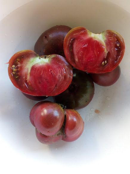cherokee purple