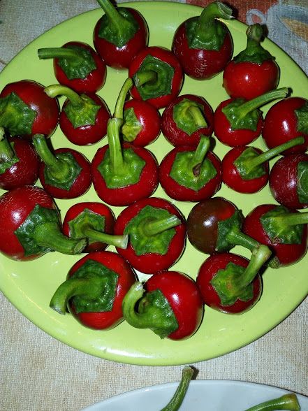cseresznyepaprika_edes-piros.jpg