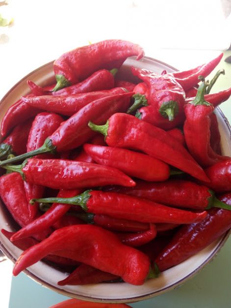 fuszerpaprika.jpg