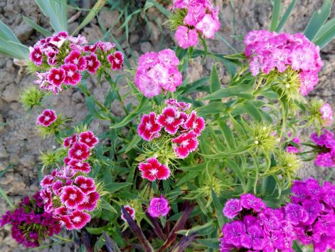 img_20170522_193627.jpg