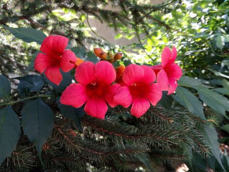img_20170628_125435.jpg