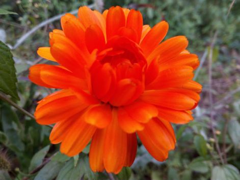 img_20170930_175321.jpg