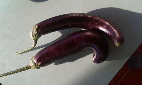 keskeny-hosszu.jpg