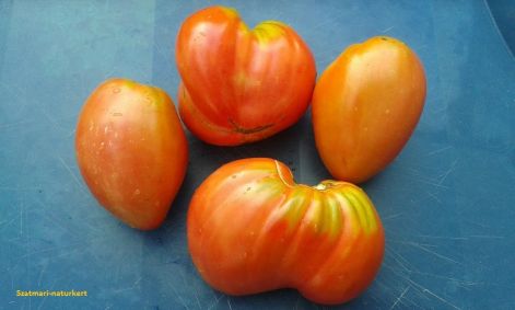 Orange Russian