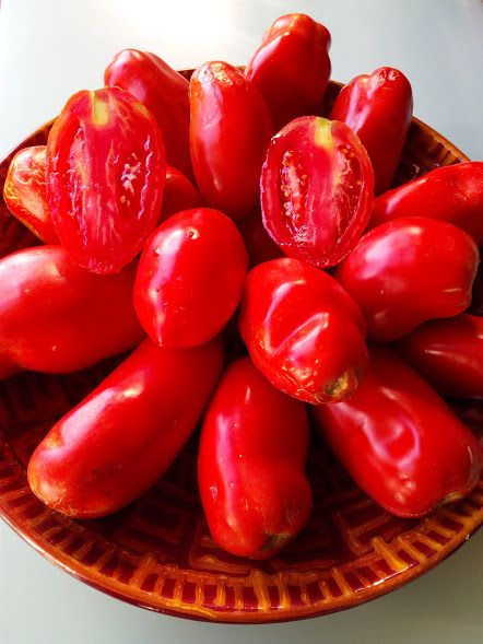 paradicsomfa paprika alakú
