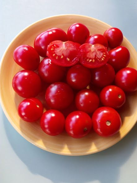 san sweet cherry